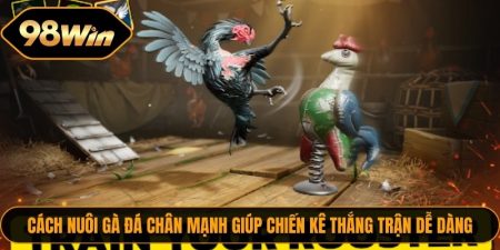 Cach Nuoi Ga Da Chan Manh 1