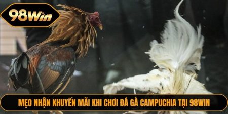 Nắm rõ luật chơi và quy tắc cá cược đá gà online